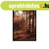 Keretezett poszter, sz�pia erd�, 50x70 cm, barna - SOUSBOIS 
