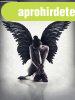 V�szon k�p, 60X80 cm, angyaln� - BLACK SWAN - Butop�a