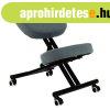Ergonomikus zs�moly, vil�gossz�rke, fekete - ET - Butop�a
