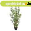 M�n�v�ny, bambusz, 130 cm - BAMBOO - Butop�a