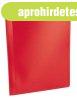 Bemutat�mappa, 20 zsebes, A4, VIQUEL "Essentiel", 