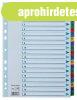 Regiszter, karton, A4, 1-20, ESSELTE "Mylar"
