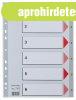 Regiszter, m�anyag, A4, 1-6, ESSELTE, sz�rke