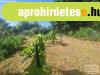 Elad ptsi telek Hdmezvsrhely   