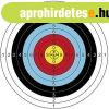 Archer Aim 60 jszcltbla 10 db-os csomagols 1 szett