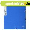 Gumis mappa, karton, A4, EXACOMPTA "Forever�", k�k
