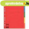 Regiszter, karton, A4, 5 r�szes, ESSELTE "Economy"