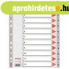 Regiszter, m�anyag, A4, 1-12, ESSELTE, sz�rke