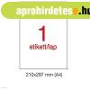 Etikett A1281 297 x 210 mm 100 �v LCA3141 Apli