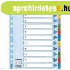 Regiszter ESSELTE A/4 1-12 karton MYLAR