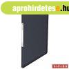 Bemutat�mappa, 40 zsebes, A4, ESSELTE "Vivida", fe