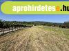 Eladó Külterületi telek Mór Eladó Külterületi telek Mór
