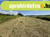Eladó Külterületi telek Mór Eladó Külterületi telek Mór