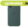 Apple iPhone 16 Plus Silicone Case with MagSafe Lake Green (