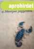 �letem a skorpi� jegy�ben - Nagy Ilona