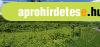 2,5 hektáros erdő Miskolc határában eladó kiváló befektetési 2,5 hektáros erdő Miskolc határában eladó kiváló befektetési