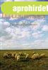 Der Lichthtejunge - Ungarische Hirtenkunst - Ktvlgyi Mih