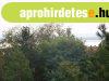Vonyarcvashegyen erd� melletti, panor�m�s telek elad�