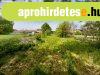 Srszentmihly kzpontjban sszkzmves telek elad!