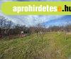 Pákozdon panorámás családi birtok eladó! Pákozdon panorámás családi birtok eladó!