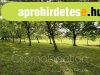 Bogyoszl - szles telek elad