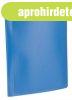 Bemutat�mappa, 10 zsebes, A4, VIQUEL "Essentiel", 