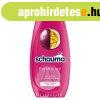 Schauma sampon 400 ml Fresh it UP!
