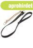 Taboom Statement Collar and leash