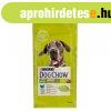 Dog Chow Adult Large Breed Pulykval 14kg