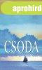 Danielle Steel - Csoda