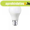 LED gmb, B22, A70, 15W, 230V, fehr fny