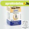 JutaVit Ginkgo Biloba forte 80mg 70db