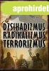 DZSIHADIZMUS, RADIKALIZMUS, TERRORIZMUS