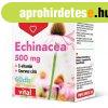 DR Herz Echinacea 500 mg+C-vitamin+Szerves Cink 60 db kapszu