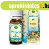 Herbria wellness teafaolaj 10 ml