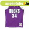 Mitchell & Ness Milwaukee Bucks #34 Ray Allen Swingman J