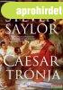 Steven Saylor - Caesar trnja