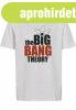 Mr. Tee Kids Big Bang Theory Logo Tee white