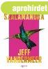 Jeff VanderMeer - Kolibri szalamandra