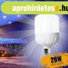 Led izz opl brs 20W