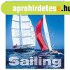 Falinaptr kpes 450  520 mm Sailing Dayliner 2024.