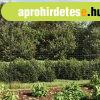 Antracitszrke drthls kerts cvekekkel 2x10 m
