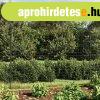 Antracitszrke drthls kerts cvekekkel 1,6x25 m