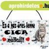 Cics falikp, Hzi cica