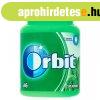 ORBIT Spearmint Bottle 46 Drazs "R"