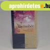 Sonnentor bio gymbr tea 20x1g 20 g