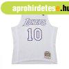 Mitchell & Ness Los Angeles Lakers #10 Steve Nash Day Sw