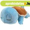 Plssjtk Sleeping Squirtle (Pokmon)