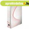 Archivl doboz boxy 80mm, 128080/128001 Esselte fehr