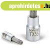 bitdugfej, torx, 1/4", 61CrV5/S2, mattkrm; TX27 FORTU